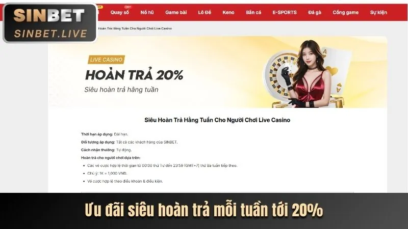 Cập nhật khuyến mãi 8kbet code